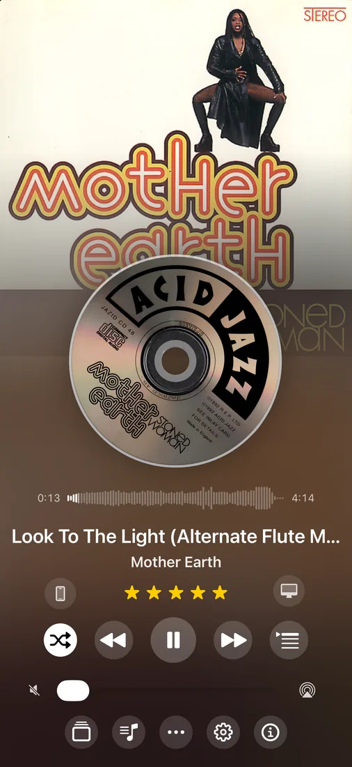 MusicCovered Mobile Classic Layout with track ratings on iPhone